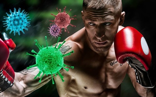 Coronavirus spreads through the boxing gym. Quarantine and epidemic concept. Stay at home.