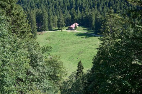 Orterer Alpe