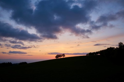 Wind beeches at sunset with cloudy sky in spring