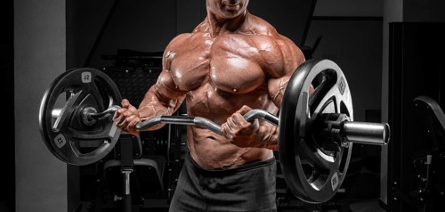 Powerful bodybuilder trains in a gym with a barbell. No name portrait. Bodybuilding concept.