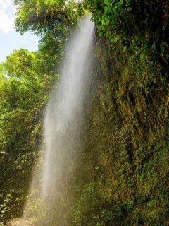 Cascada Hola Vida waterfall in the Amazon rainforest