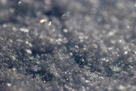 Shiny snow crystals