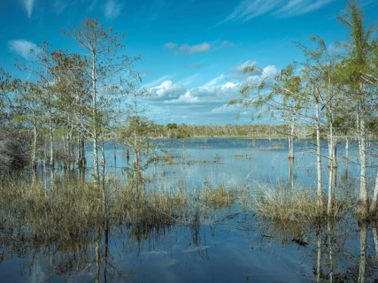 Lagoon