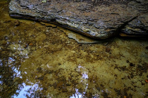Chestnut Ridge Park Eternal Flame Falls Trail