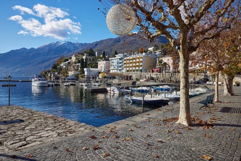 View of Lake Maggiore in the direction of Ronco sopra Ascona with motorboats and a plane tree