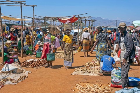 Malagasy vendors selling fruit and vegetables at food market in the city Ambalavao