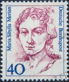 Maria Sibylla Merian