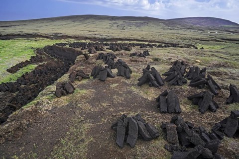 Peat extraction in bog