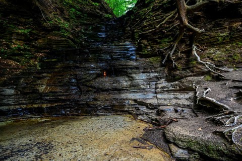 Chestnut Ridge Park Eternal Flame Falls Trail