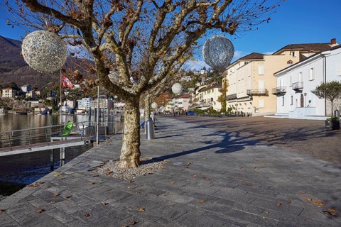 Plane trees
