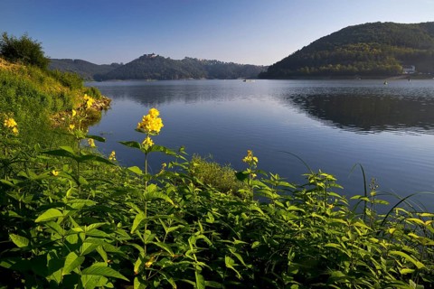 Lake Edersee with a view of Waldeck Castle