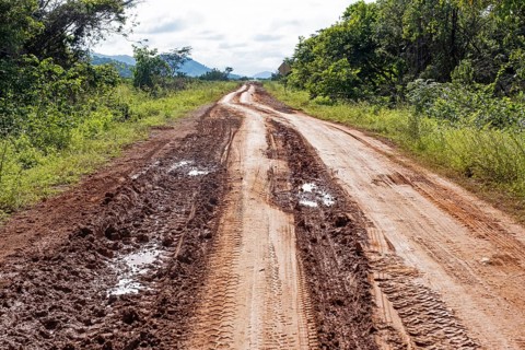 Muddy Linden-Lethem track