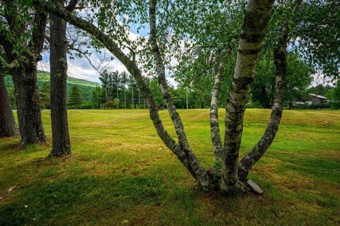 Catskills Mountains