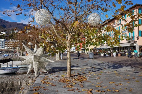 Plane trees