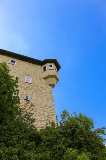 Detail of Teck Castle