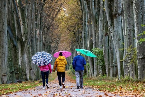 Autumn walk with umbrella in rainy weather