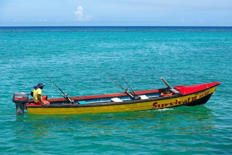 Fishing boat for hire for excursions