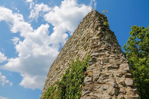 Teck Castle