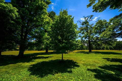 Vanderbilt Mansion National Historic Site