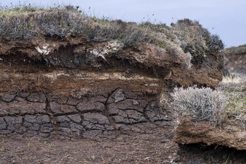 Peat hag showing exposed layers of turf