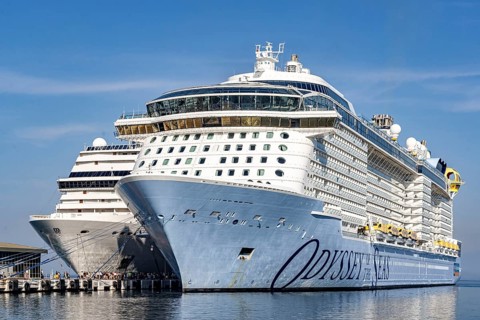 Shore leave in the harbour