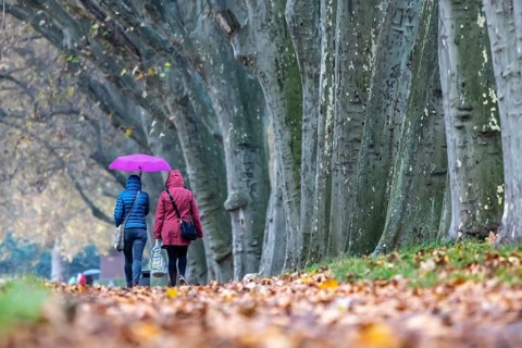 Autumn walk with umbrella in rainy weather