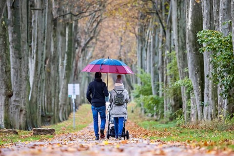 Autumn walk with umbrella in rainy weather