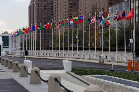 Flags