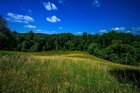 Vanderbilt Mansion National Historic Site
