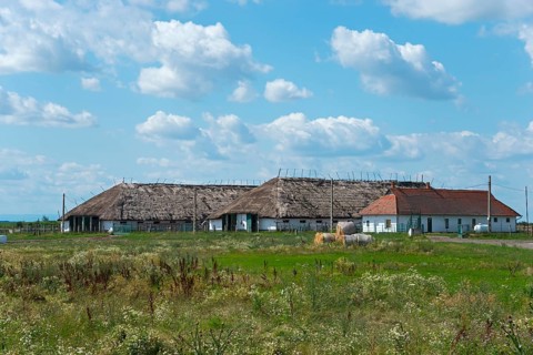 House and stables