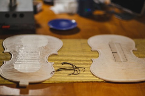 Front and back plates of new raw handmade classic violin on a workbench in violinmaker artisan workshop and purfling fillet made of evony and ivory or pear wood ready to be inserted in the carved all ...