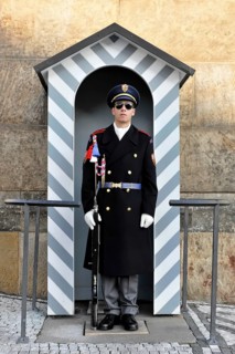 Guard soldier at the Court of Honour