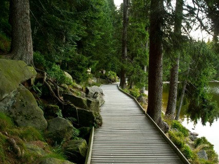 Wooden plank path along the Mummelsee lake