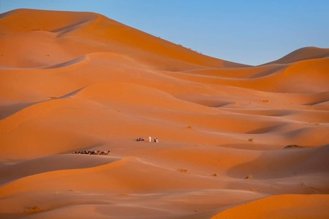 Western tourists and dromedary camels in sand dunes of Erg Chebbi