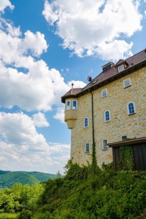Detail of Teck Castle