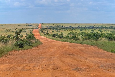 Linden-Lethem track