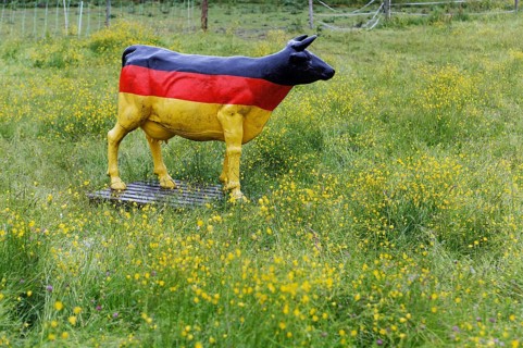 A life-size cow made of plastic in a flowering meadow