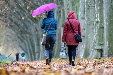 Autumn walk with umbrella in rainy weather