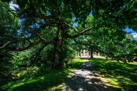 Vanderbilt Mansion National Historic Site
