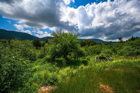 Catskills Mountains