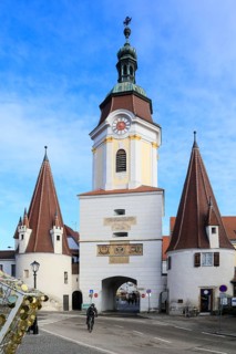 Steiner Tor