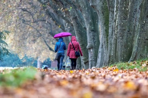 Autumn walk with umbrella in rainy weather