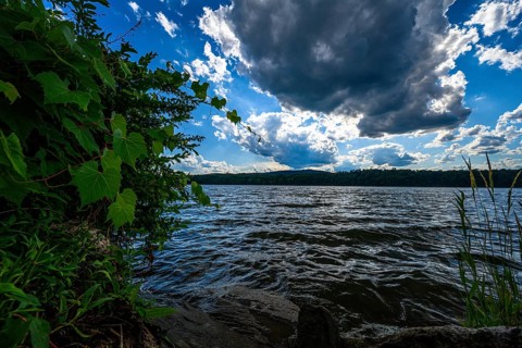 Hudson River at the Mills Norrie State Park