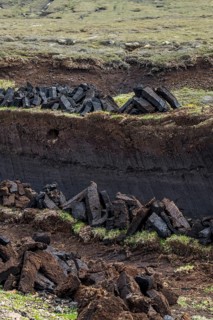 Peat extraction in bog