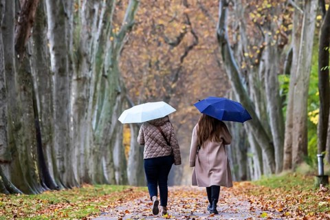 Autumn walk with umbrella in rainy weather