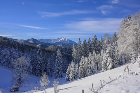 View of the Schneeberg