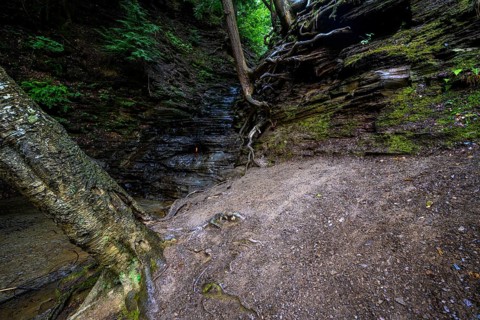 Chestnut Ridge Park Eternal Flame Falls Trail