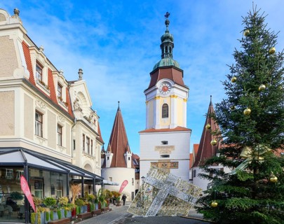 Steiner Tor
