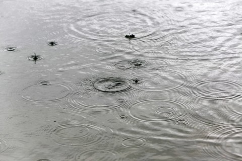 Raindrops on the water surface