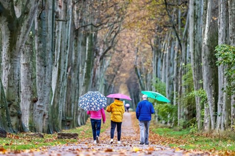 Autumn walk with umbrella in rainy weather
